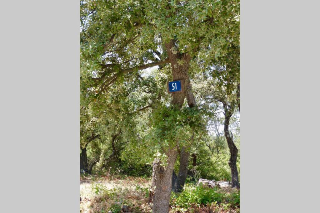 Studio Tudo Bem Villeneuve-lès-Avignon 외부 사진